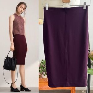 Aritzia Wilfred Lis Skirt